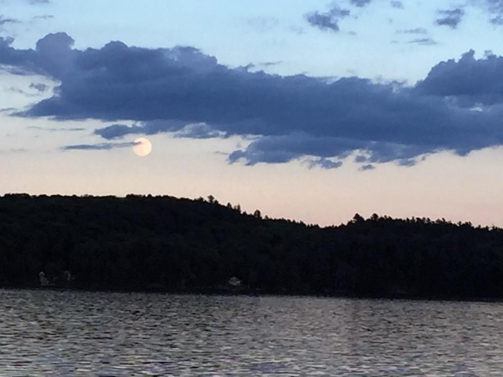 Little Hawk Resort&Marina Algonquin Highlands Exterior foto